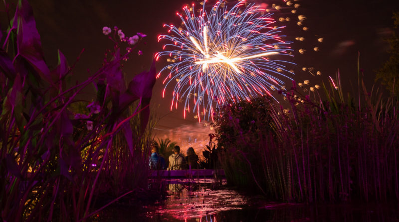 Lichterfest im Westfalenpark